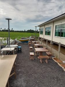 The Charm of Rice Field — photo 1