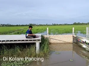 The Charm of the Rice Fields — photo 3
