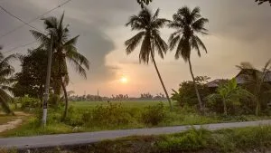 Sunrise — photo 1