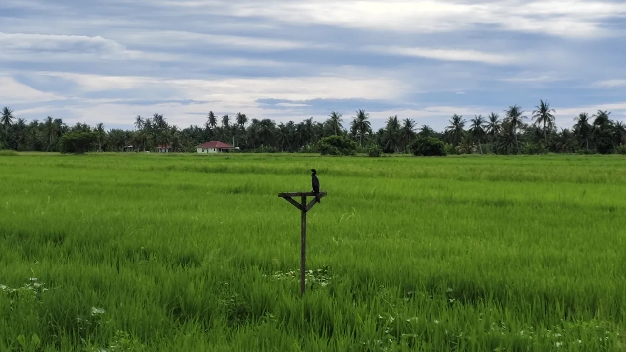Authentic Rural Experience 