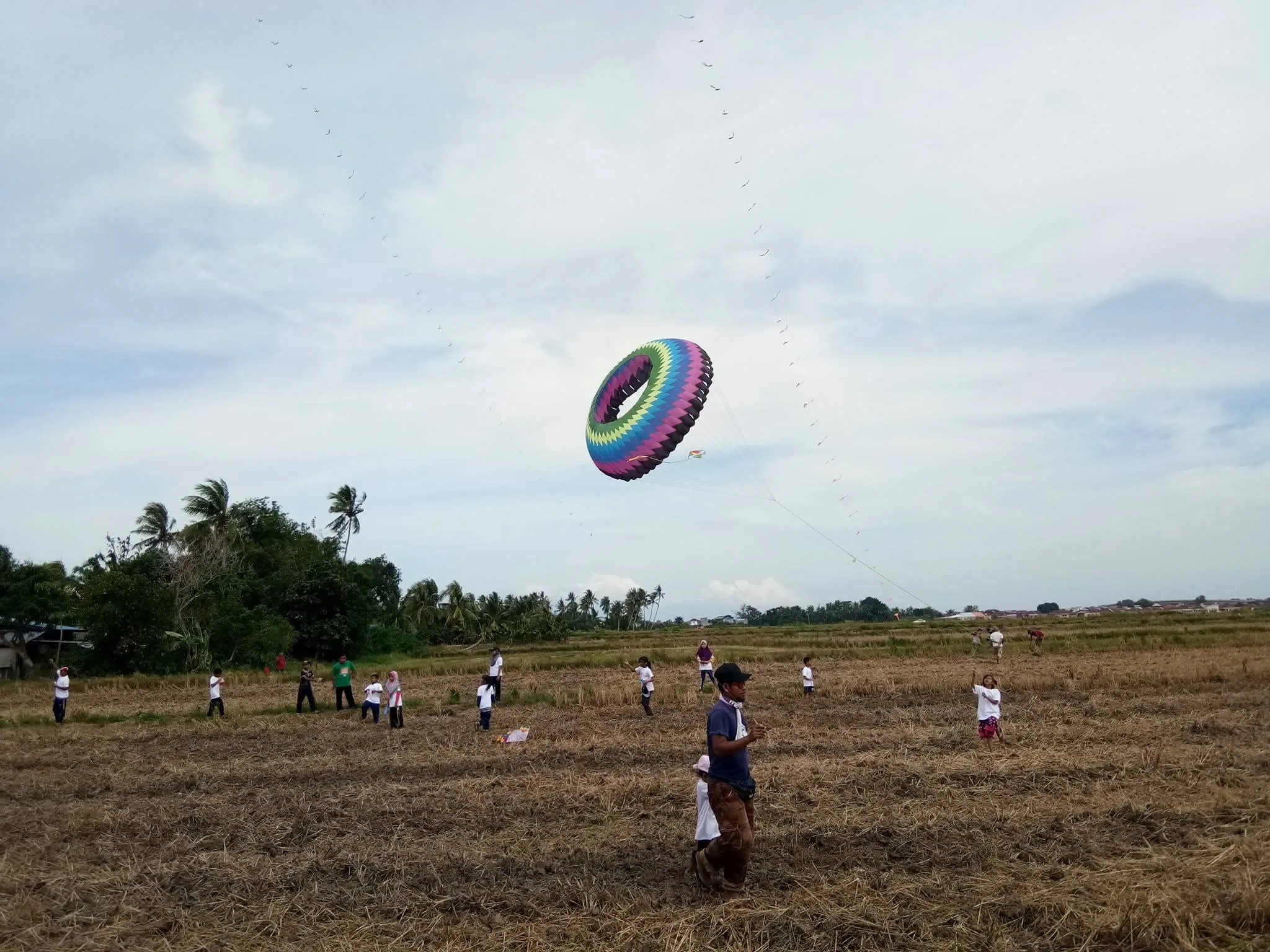 Pesona Sawah — slide 13